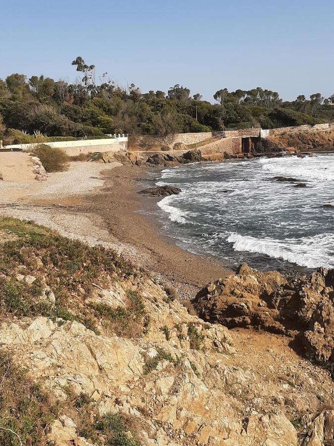 סנט-אגף Le Mediterraneo מראה חיצוני תמונה